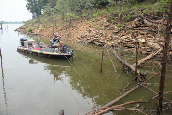 Panfish in wood