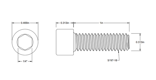 Stainless Steel Socket Head Screw (25 Pack)