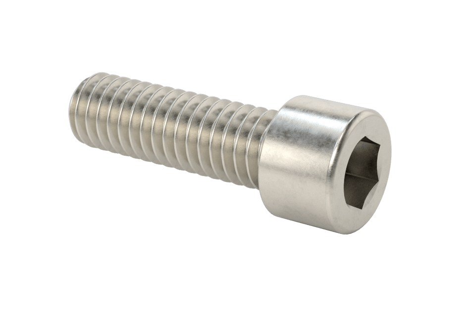 Stainless Steel Socket Head Screw (25 Pack)